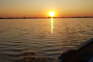 apus sulina delta dunarii